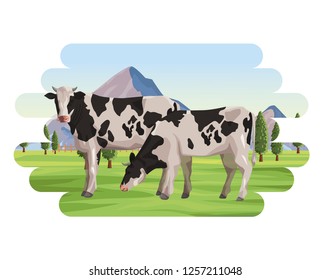 Cows farm animal