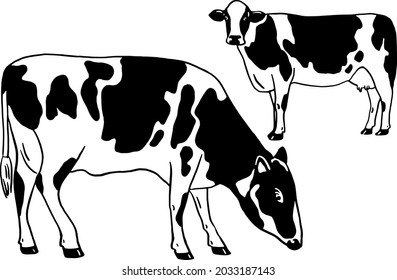 Cows Farm Animal Dairy Milk product Hand drawn Line art illustration 