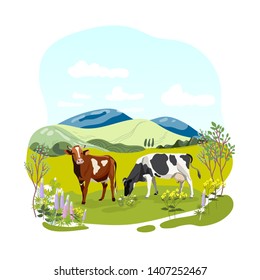 Cows farm animal.Cows on the meadow.Vector illustration.