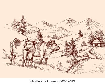 Cows Farm Drawing, Dairy Label Design Grazing Cattle