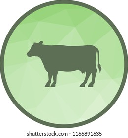 Cows, farm, landscape