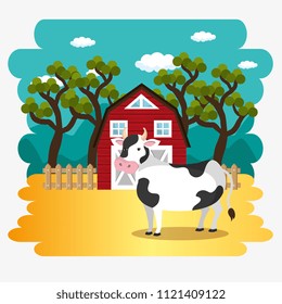 cows in the farm scene
