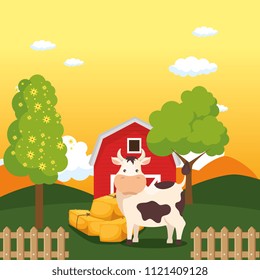 cows in the farm scene