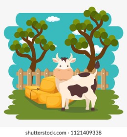 cows in the farm scene