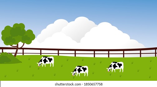Cows farming on green meadow agricultural business concept. Calves eating fresh herb. Rural animal field vector illustration. Cattle livestock farmer industry banner.