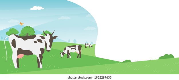 Cows farming on green spring meadow agricultural business concept. Calves eating fresh herb. Rural animal field vector illustration. Cattle livestock farmer industry banner.