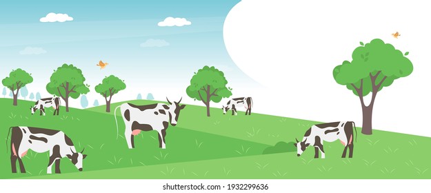 Cows farming on green spring meadow agricultural business concept. Calves eating fresh herb. Rural animal field vector illustration. Cattle livestock farmer industry banner.