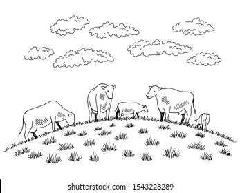 Cows feeding grass on the hill graphic black white sketch illustration vector