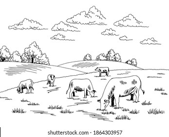 Cows feeding grass on the hill graphic black white sketch illustration vector