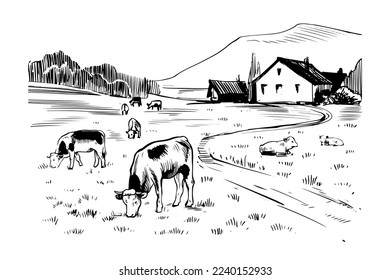 Vacas en un campo. Paisaje rural con casa de campo, montaña y ternera. Dibujo manual de líneas en blanco y negro. Grabación retro vintage, diseño gráfico de impresión.