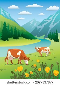 Cows graze in alpine meadows Color illustration