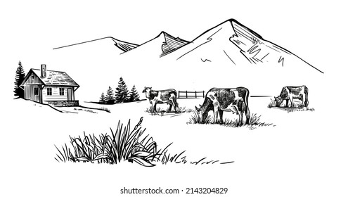 Cows graze in alpine meadows vector sketch.