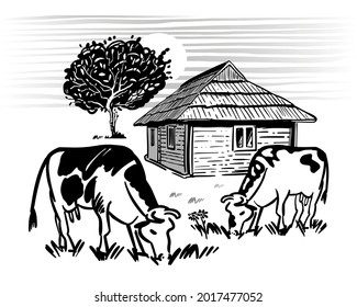 Las vacas pastan, comen hierba en praderas cerca del pueblo. Dibujo a mano alzada con contorno blanco y negro. Ilustración vectorial de la casa y el manzano en el campo.