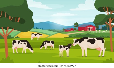 Cows graze in the field. Village pets. Milk production farm. Vector illustration