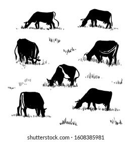 Cows graze in a meadow. Drawing on a white background, drawn by hand, vector graphics.