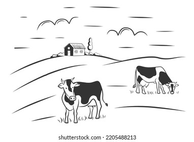 Cows graze in the meadow. Rural landscape