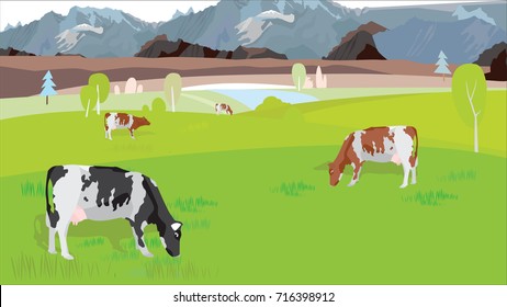 Cows graze in the meadow in the summer. Pasture with cows vector