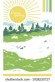 Cows graze on green grass by a lake with ducks on a clear sunny day. A poster with the caption: organic farming. Vector illustration.