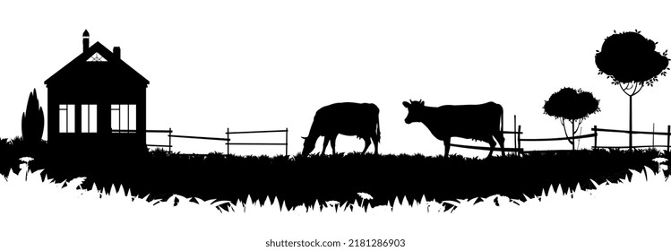 Cows graze in pasture. Picture silhouette. Farm pets. Domestic farm animals for milk and dairy products. Isolated on white background. Vector