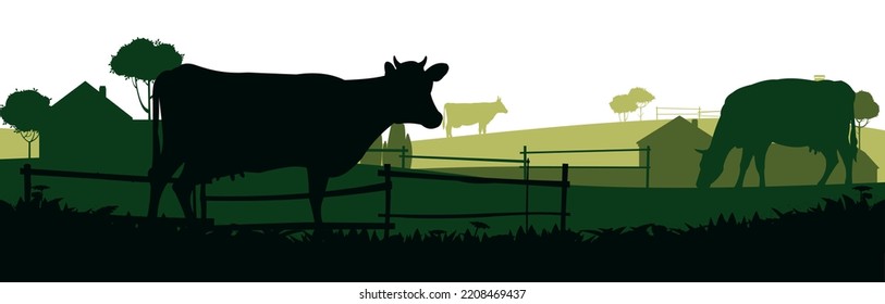 Cows graze in pasture. Picture silhouette. Farm pets. Rural landscape with farmer house. Domestic farm animals for milk and dairy products. Isolated on white background. Vector.