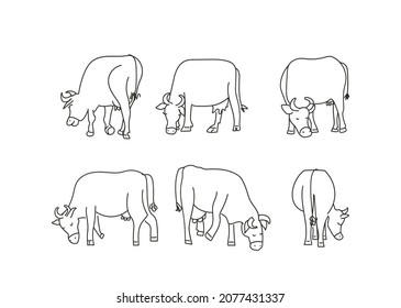 cows graze, simple sketch vector illustration set