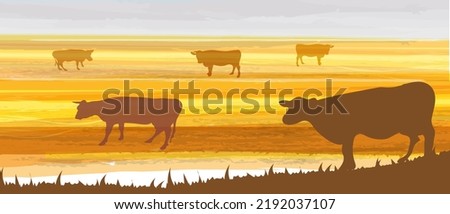 Similar – Salt marshes with blooming sea lilacs and beach mugwort, curious cattle behind the fence | Hallig Gröde