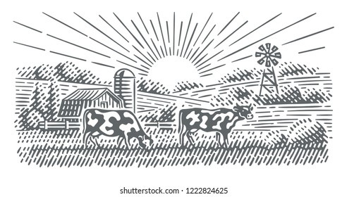Cows grazing in farmland landscape engraving style illustration. Vector, isolated.