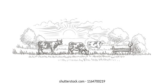 Cows grazing in a farmland/nature landscape vector sketch. 