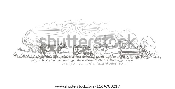 Cows grazing in a farmland/nature landscape vector\
sketch. 