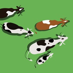 Cows Grazing In The Field, Top View. Vector Illustration