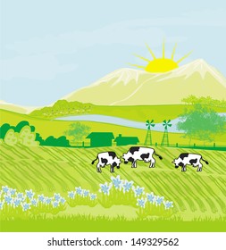 Cows grazing in green meadow 