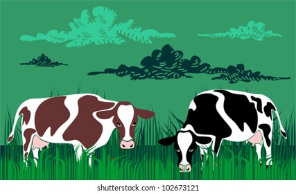 Cows grazing in meadow