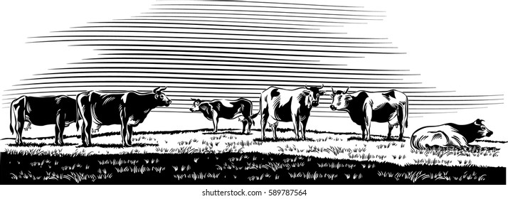 Cows grazing in a meadow.