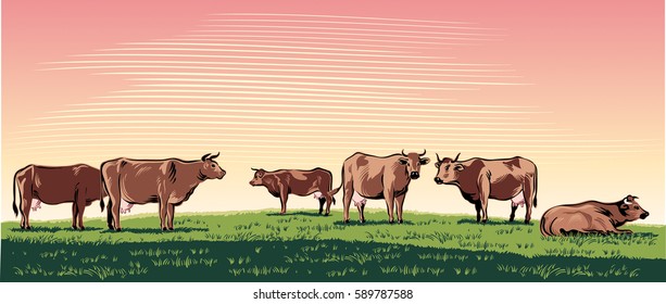 Cows grazing in a meadow.