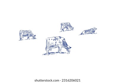 Cows are grazing in a meadow. Sketch hand drawn vector illustration.