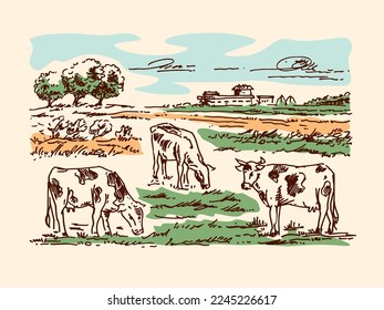 Cows grazing on meadow, farm or ranch on background. Hand drawn engraving style illustration.