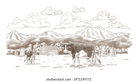 Cows grazing on meadow. Hand drawn farm land with barn vector illustration. Rural landscape, village vintage sketch