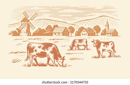 Cows grazing meadow 