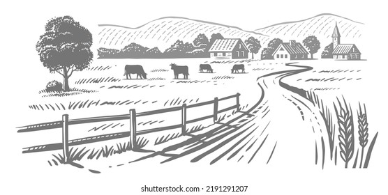 Cows Grazing On Meadow. Hand Drawn Sketch Livestock With Grass And Plants