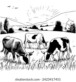 Cows grazing on meadow. Hand drawn illustration.