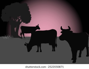 Vacas pastando no pasto à noite. Silhueta paisagem cena. Ilustração vetorial.