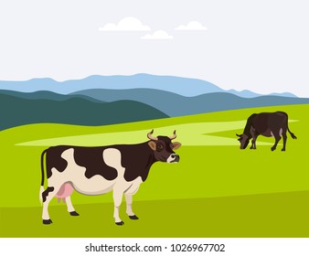 Cows grazing on a summer pasture. Vector illustration