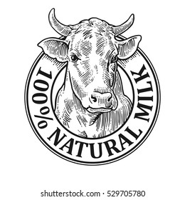 Cows head. 100 % Natural Milk. Hand drawn in a graphic style. Vintage vector engraving illustration for label, poster, logotype. Isolated on white background