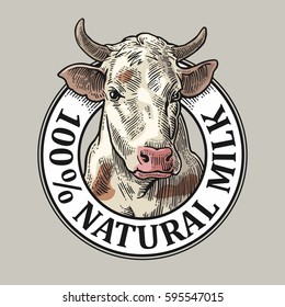 Cows head. 100 % Natural Milk. Hand drawn in a graphic style. Vintage vector engraving illustration for label, poster, logotype. Isolated on gray background