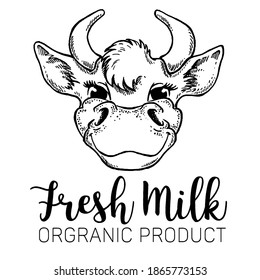 Cows head. Cow portrait. Hand drawn sketch in a graphic style. Vintage vector engraving illustration for poster, web, packaging. Isolated on white background