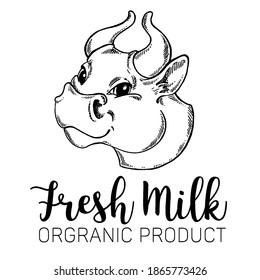 Cows head. Cow portrait. Hand drawn sketch in a graphic style. Vintage vector engraving illustration for poster, web, packaging. Isolated on white background