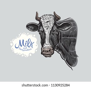 Cows head, in a graphic style in color,  and spot from splash milk for inscription, as a design element