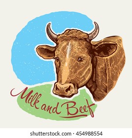 Cows head, in a graphic style hand drawn illustration.