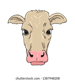 Cows head. Hand drawn sketch in a graphic style. Vintage vector engraving illustration for poster, web. Isolated on white background. Vector illustration