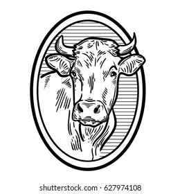 Cows head. Hand drawn sketch in a graphic style with frame. Vintage vector engraving illustration for poster, web. Isolated on white background